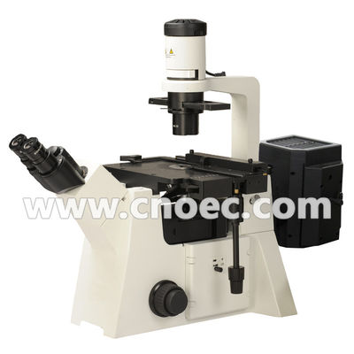 200 X Epi - Floresans mikroskobu halojen lamba A16.2702 100 X - 400 X