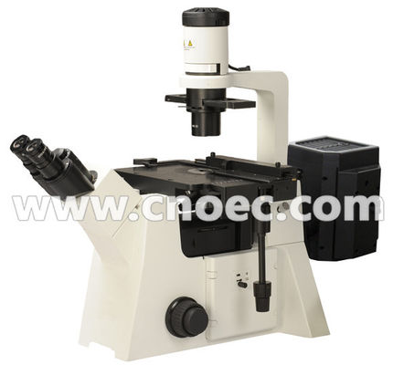 200 X Epi - Floresans mikroskobu halojen lamba A16.2702 100 X - 400 X